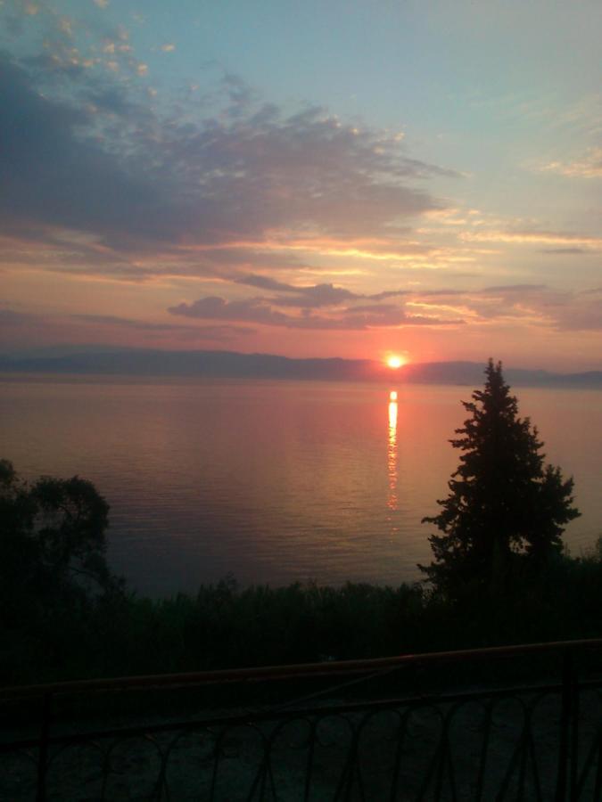 Corfu Bay Sea View Apartments 100M From The Beach Benitses (Corfu) Exterior foto